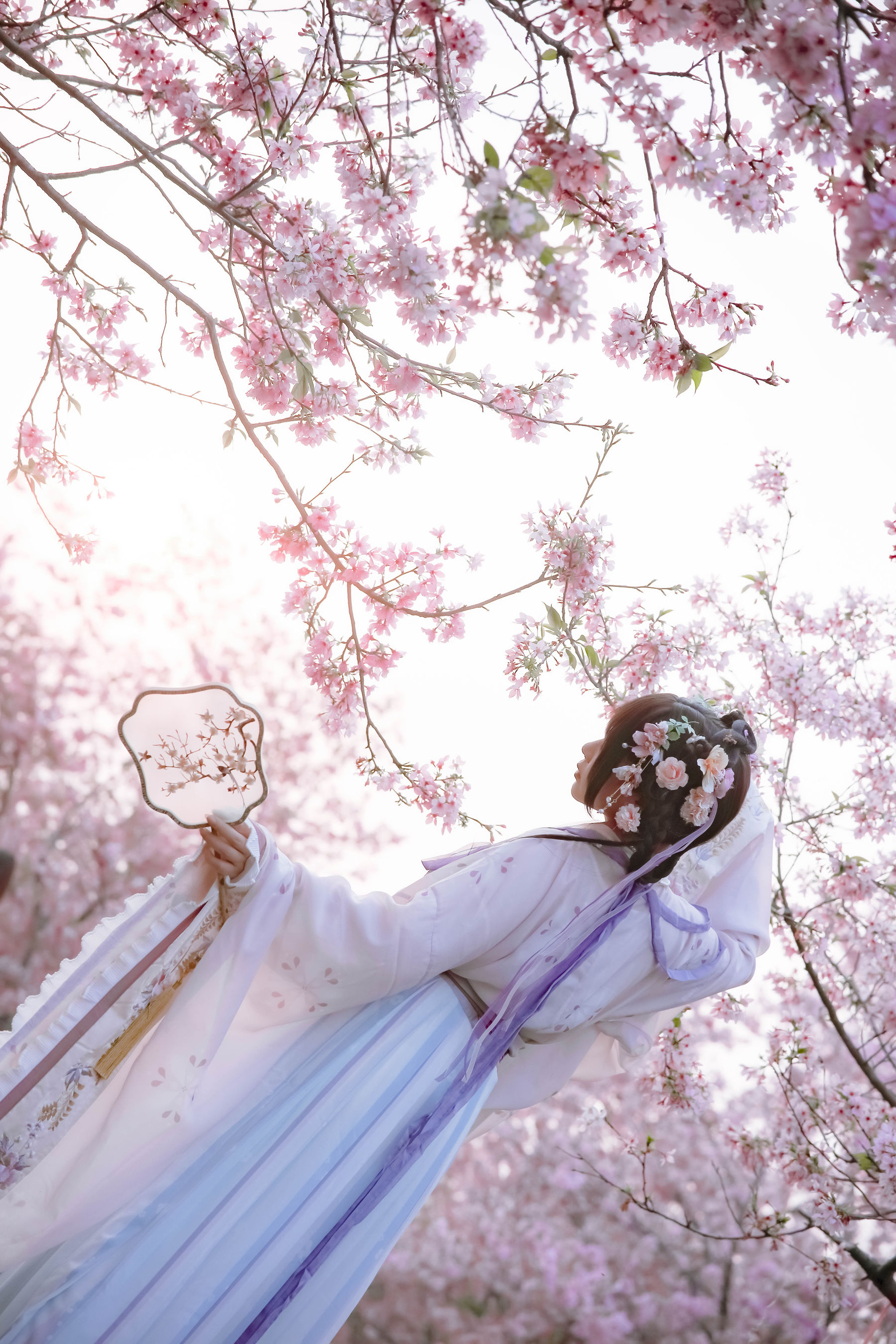 萌妹子Nyako喵子 – 樱花汉服 花神祈愿 Cosplay-第6张