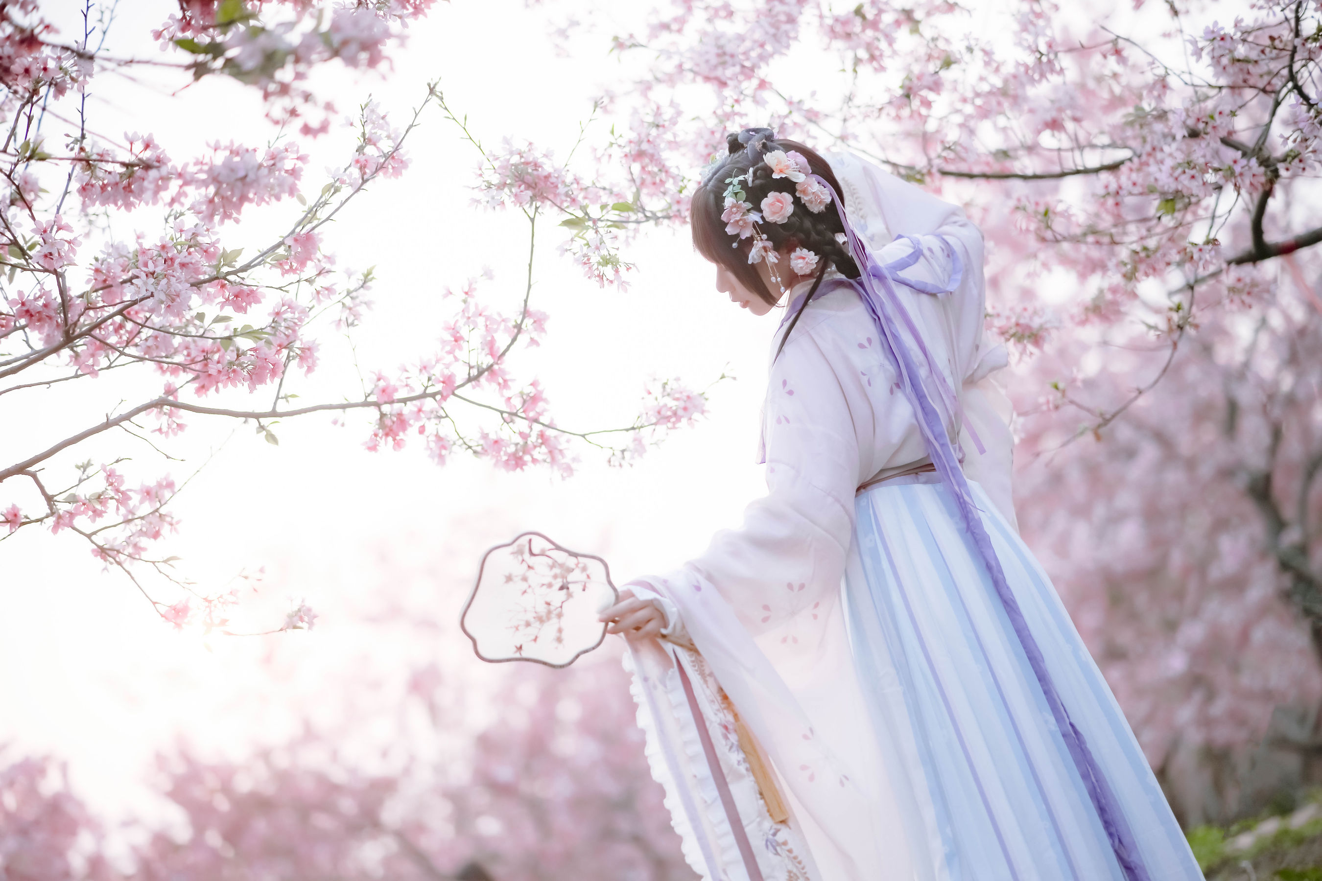 萌妹子Nyako喵子 – 樱花汉服 花神祈愿 Cosplay-第2张